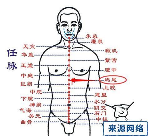 鳩尾穴位置|鳩尾穴位置 鳩尾穴痛